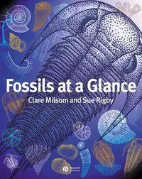 Fossils at a Glance, Clare  Milsom audiobook. ISDN43557664