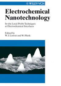 Electrochemical Nanotechnology - Waldfried Plieth