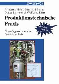 Produktionstechnische Praxis - Annerose Hahn