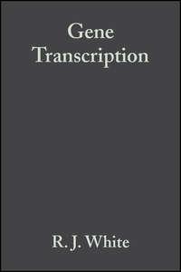 Gene Transcription - R. White
