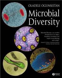 Microbial Diversity - Oladele Ogunseitan
