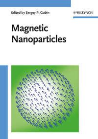 Magnetic Nanoparticles - Sergey Gubin