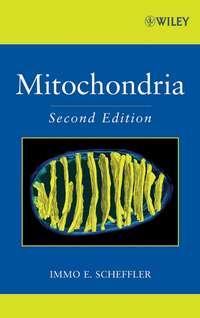 Mitochondria - Immo Scheffler