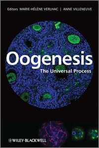 Oogenesis, Marie-Helene  Verlhac audiobook. ISDN43564832