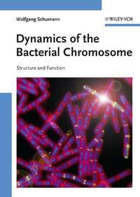 Dynamics of the Bacterial Chromosome, Wolfgang  Schumann audiobook. ISDN43565440