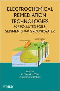 Electrochemical Remediation Technologies for Polluted Soils, Sediments and Groundwater - Claudio Cameselle