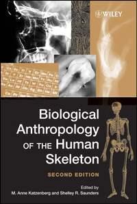 Biological Anthropology of the Human Skeleton - M. Katzenberg