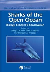 Sharks of the Open Ocean - Elizabeth Babcock