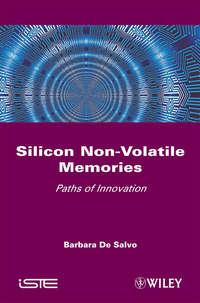 Silicon Non-Volatile Memories,  książka audio. ISDN43579683