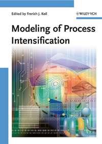 Modeling of Process Intensification - Frerich Keil