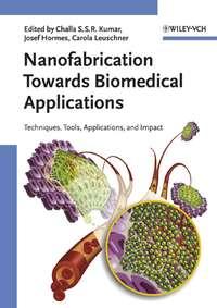 Nanofabrication Towards Biomedical Applications - Josef Hormes