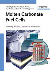 Molten Carbonate Fuel Cells - Kai Sundmacher