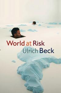 World at Risk, Ulrich  Beck аудиокнига. ISDN43583275