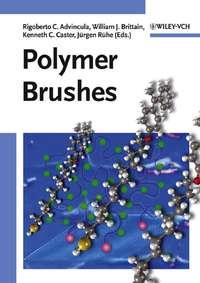 Polymer Brushes,  аудиокнига. ISDN43589819