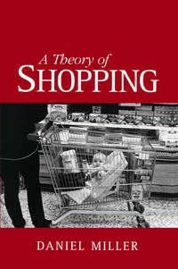 A Theory of Shopping, Daniel  Miller audiobook. ISDN43592795