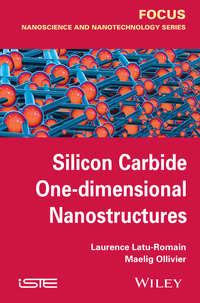Silicon Carbide One-dimensional Nanostructures, Laurence  Latu-Romain Hörbuch. ISDN43593291