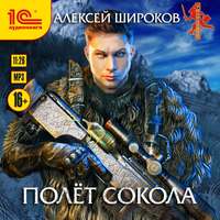 Полет сокола, audiobook Алексея Широкова. ISDN43645770