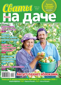 Сваты на Даче 08-2019 - Редакция журнала Сваты на Даче