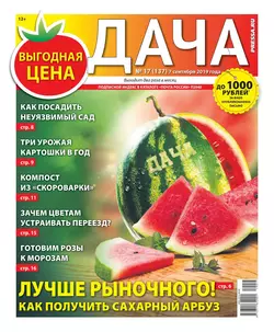 Дача Pressa.ru 17-2019 - Редакция газеты Дача Pressa.ru