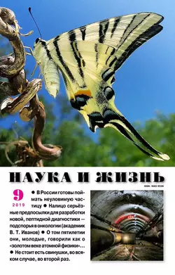 Наука и Жизнь 09-2019 - Редакция журнала Наука и Жизнь