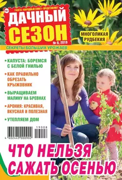 Дачный Сезон – Советы Читателей 08-2019 - Редакция журнала Дачный Сезон – Советы Читателей