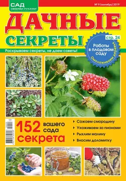 Дачные Секреты 09-2019 - Редакция журнала Дачные Секреты