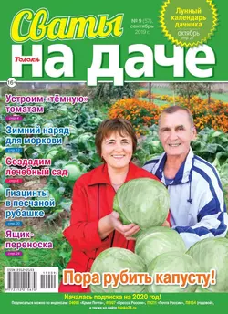 Сваты на Даче 09-2019 - Редакция журнала Сваты на Даче