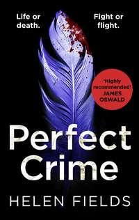 Perfect Crime, Helen  Fields аудиокнига. ISDN44916925
