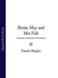Bertie, May and Mrs Fish - Xandra Bingley