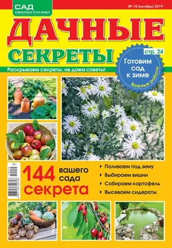 Дачные Секреты 10-2019 - Редакция журнала Дачные Секреты