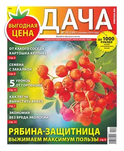 Дача Pressa.ru 19-2019 - Редакция газеты Дача Pressa.ru