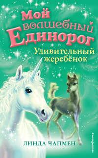 Удивительный жеребёнок, audiobook Линды Чапмен. ISDN45579709