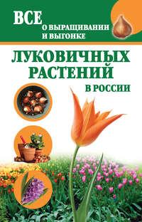 Все о выращивании и выгонке луковичных растений в России - Татьяна Литвинова