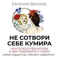 Не сотвори себе кумира. Чем опасен фанатизм и как подражать с умом, audiobook Евгения Вольтова. ISDN48087759