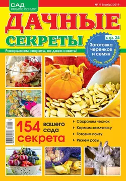 Дачные Секреты 11-2019 - Редакция журнала Дачные Секреты