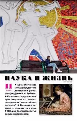 Наука и Жизнь 11-2019 - Редакция журнала Наука и Жизнь