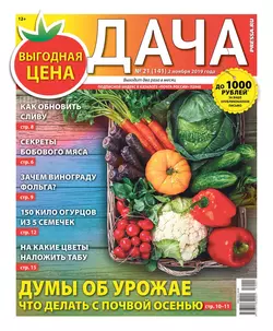 Дача Pressa.ru 21-2019 - Редакция газеты Дача Pressa.ru