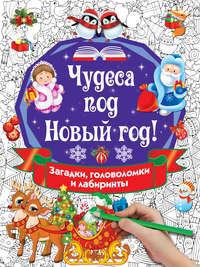 Чудеса под Новый год! Загадки, головоломки и лабиринты, audiobook В. Г. Дмитриевой. ISDN48561579