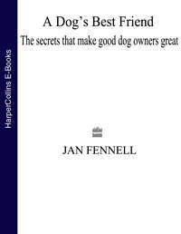 A Dog’s Best Friend: The Secrets that Make Good Dog Owners Great,  audiobook. ISDN48651390