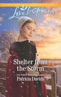 Shelter From The Storm, Patricia  Davids audiobook. ISDN48655006