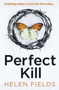 Perfect Kill, Helen  Fields аудиокнига. ISDN48658262