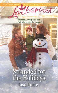 Stranded For The Holidays, Lisa  Carter audiobook. ISDN48666646