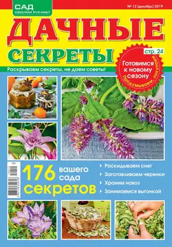 Дачные Секреты 12-2019 - Редакция журнала Дачные Секреты