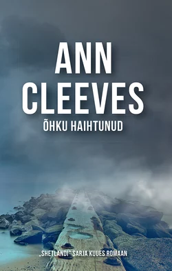 Õhku haihtunud - Ann Cleeves