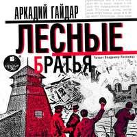 Лесные братья (Давыдовщина), audiobook Аркадия Гайдара. ISDN48856140