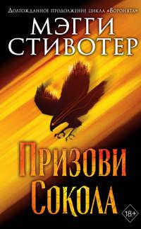 Сновидец. Призови сокола, audiobook Мэгги Стивотер. ISDN49395436