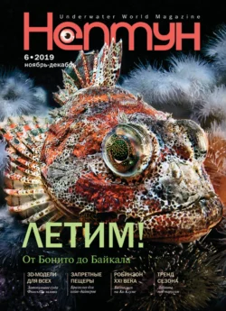 Нептун №6/2019 - Сборник