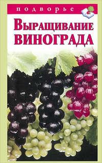Выращивание винограда, książka audio Виктора Горбунова. ISDN4958821