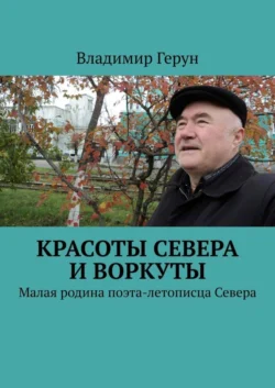 Красоты Севера и Воркуты. Малая родина поэта-летописца Севера - Владимир Герун