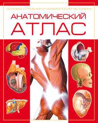 Анатомический атлас. Основы строения и физиологии человека, audiobook . ISDN49779039